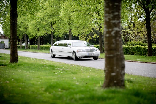 Connecticut Limousine Services: What to Expect for Luxury Travel